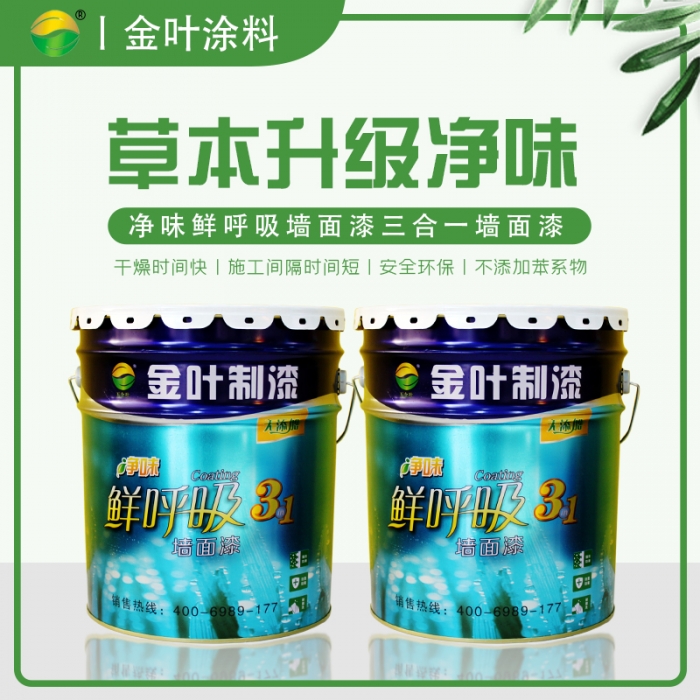 YN-3000優質凈味內墻漆